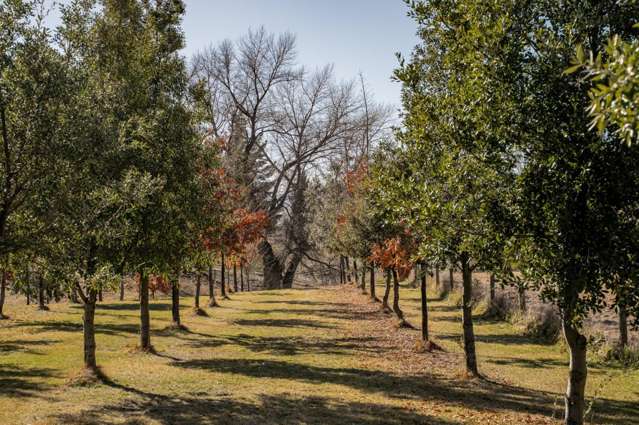 11 Thelma Place Cromwell_4