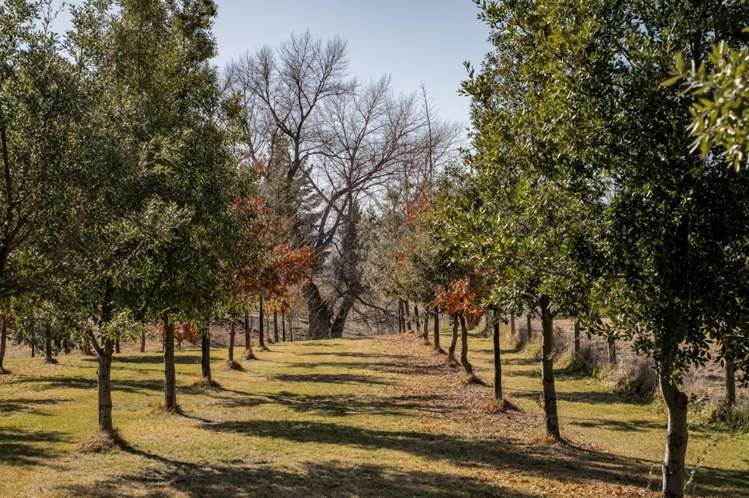 11 Thelma Place Cromwell_4