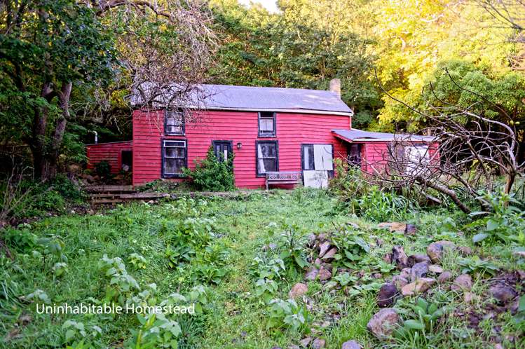 115 Dalglishs Road Le Bons Bay_5