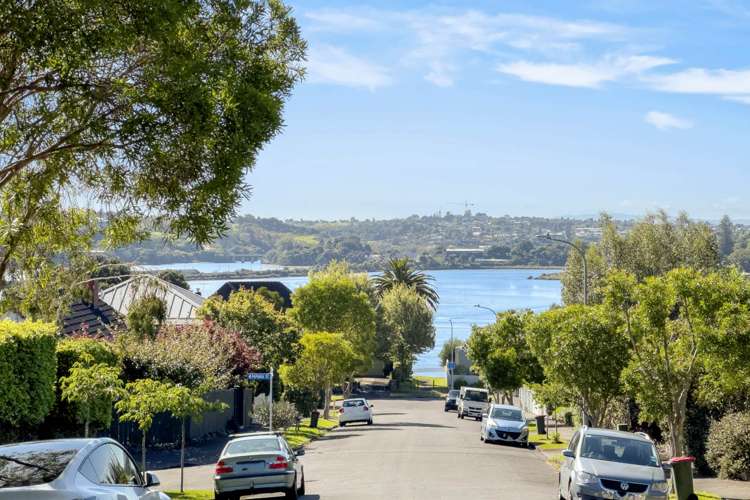 2 Waitoa Street Parnell_15