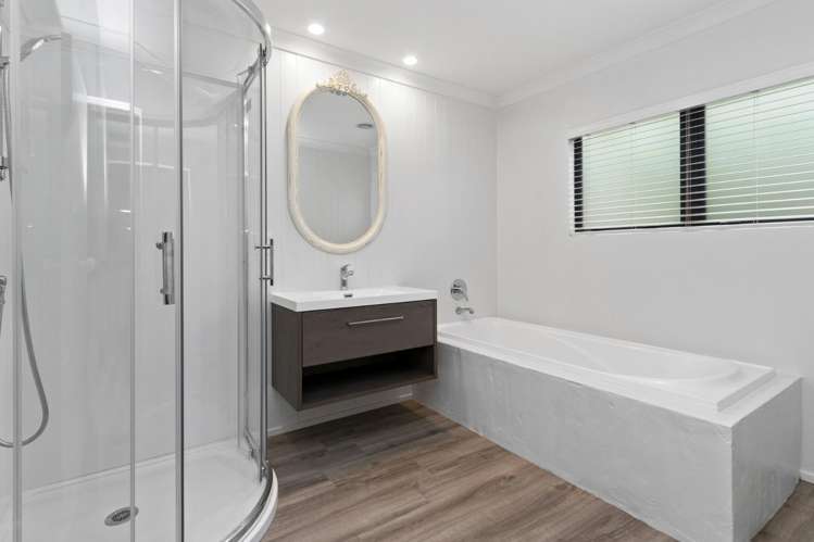 29 Williamson Street 11373_14