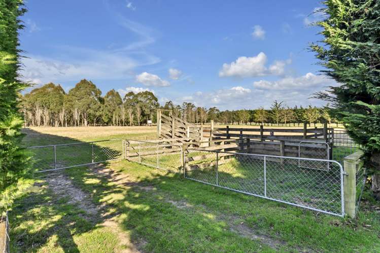 157 Karanga Road Dunsandel_2