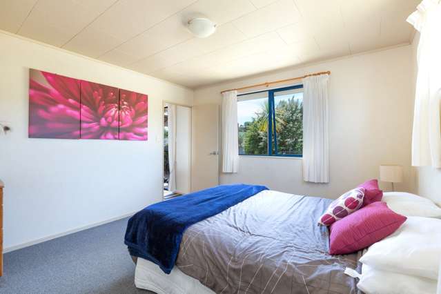 48 Driftwood Place Mangawhai Heads_4