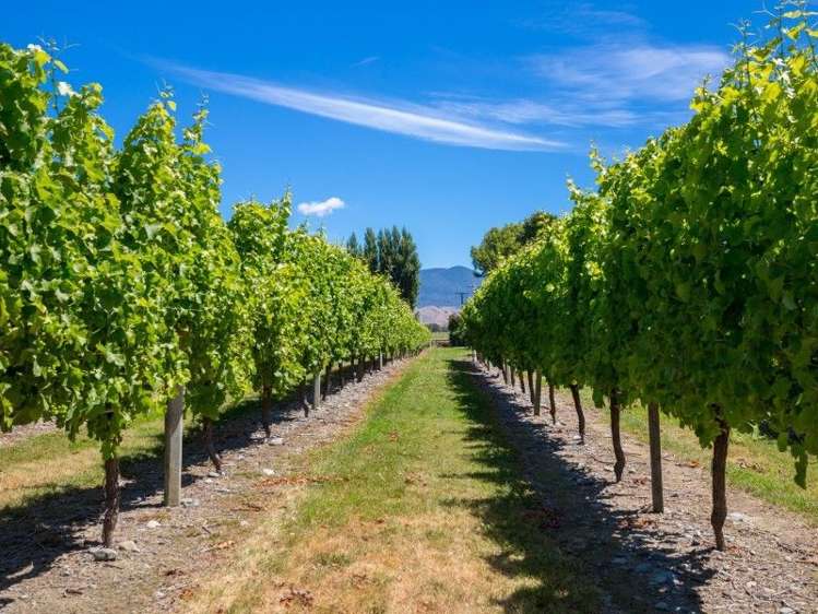 100 Watsons Road Grovetown_2