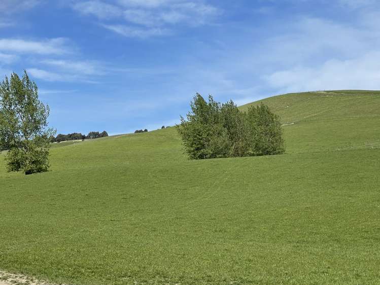 186 Murray Road Lawrence_9