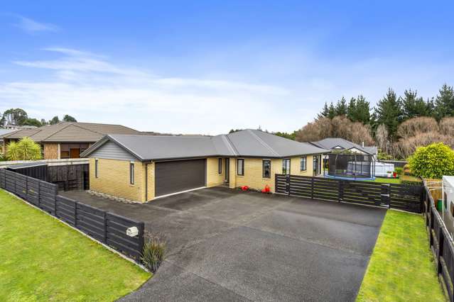 224 Hollister Lane Ohauiti_1