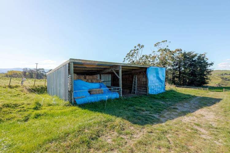 177 Blairgowrie Road Dannevirke_17