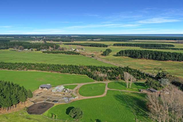 200 Beamish Road Bulls_2