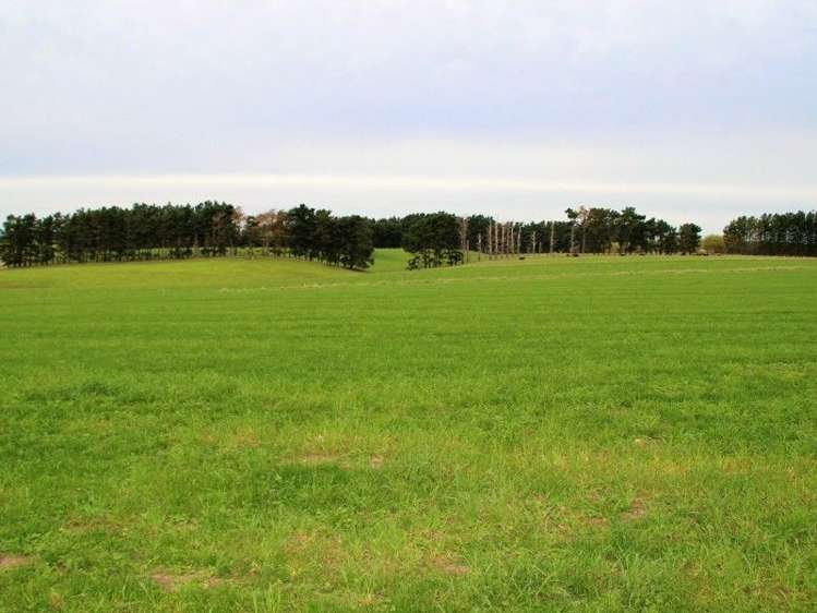 591 Wanganui Road Marton_18