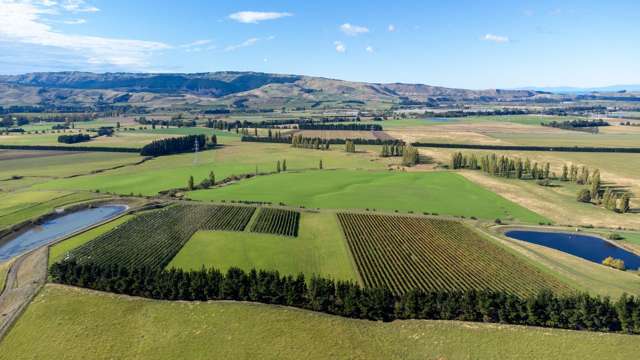 337 Mackenzies Road Waipara_1