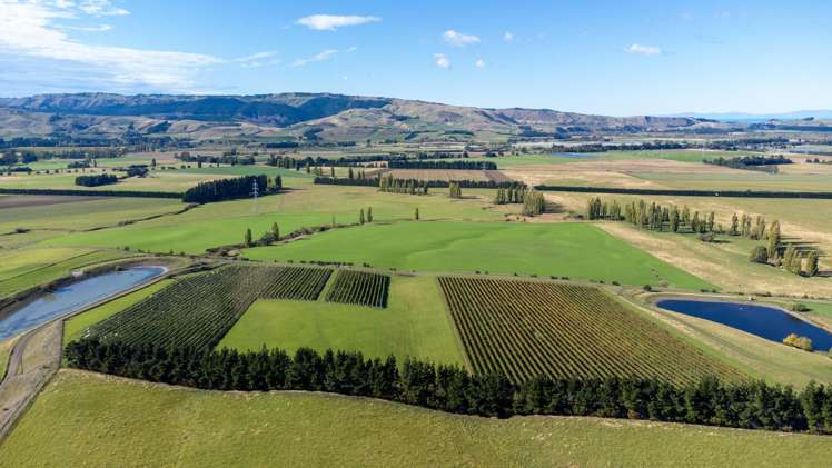 337 Mackenzies Road Waipara_1