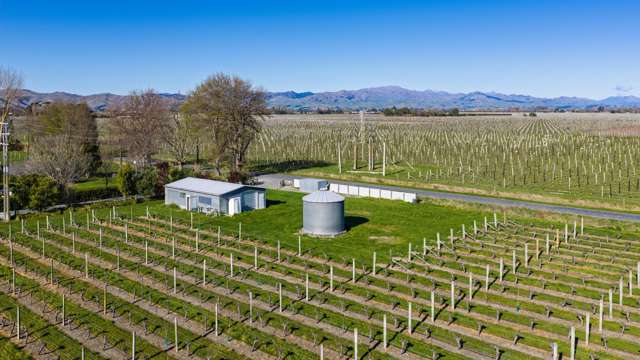 152 Murrays Road Spring Creek_1