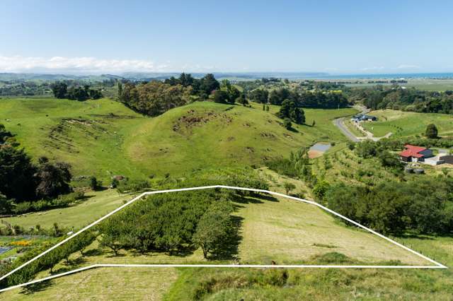 Lot 2/226 Puketitiri Road Poraiti_2