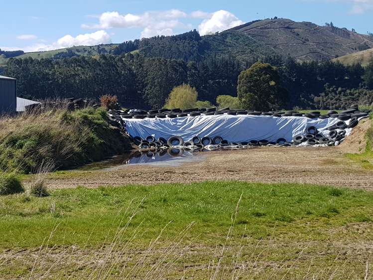 213 Toko Mouth Road Milton_11