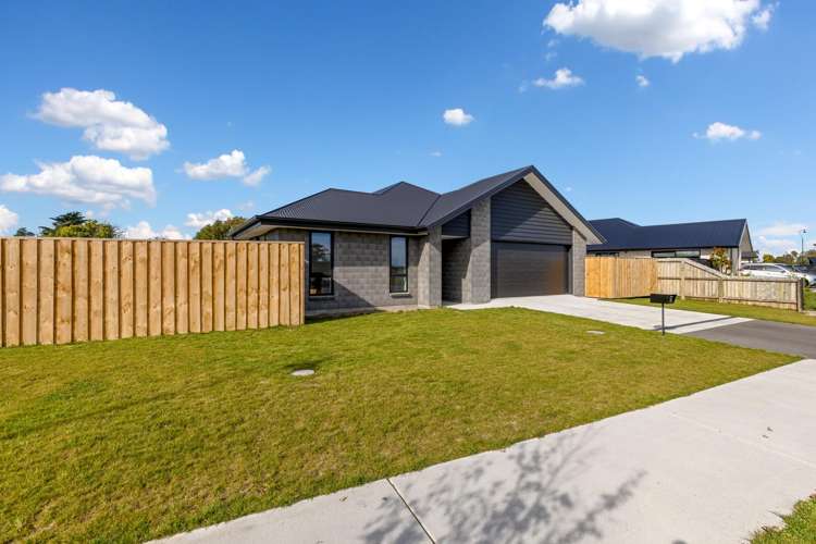 39 Da Vinci Avenue Leeston_25