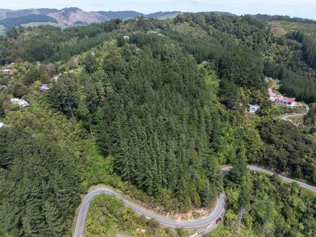 222-228 Blue Mountains Road Blue Mountains_3