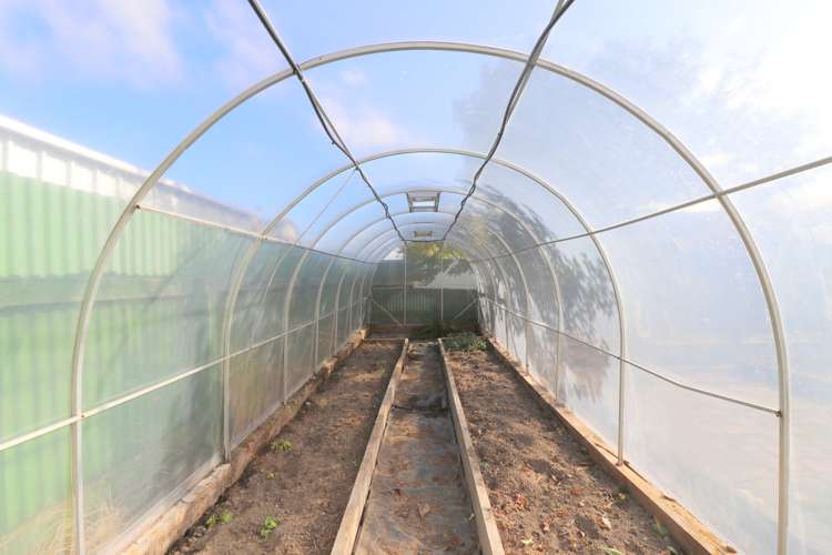 52 Ethel Street Newfield_25