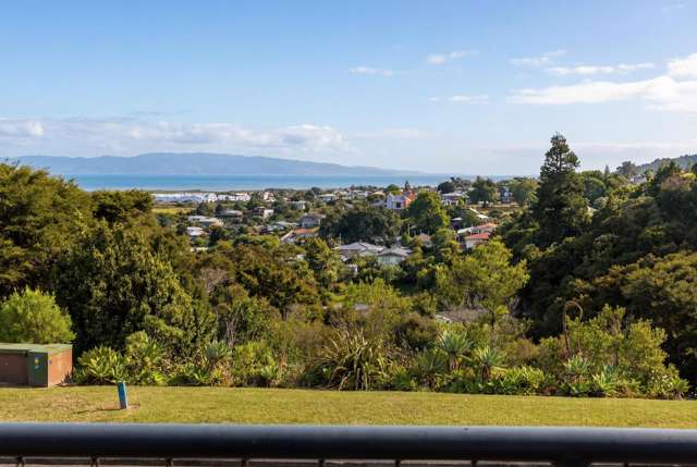 228 The Booms Avenue Thames_2