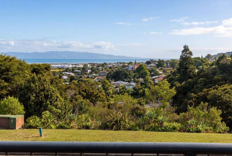 228 The Booms Avenue Thames_2