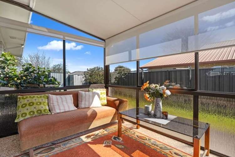 34 Hawera Street 11597_5