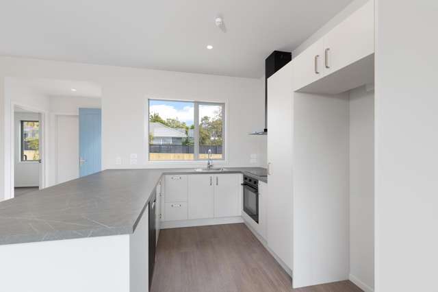 15B & 15C Neale Avenue Stoke_3