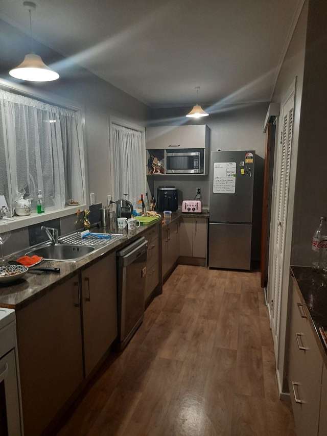 29 Braithwaite Street Karori_1