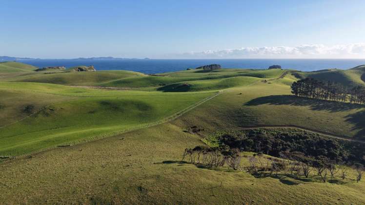 1811 Rangihoua Road Kerikeri_31