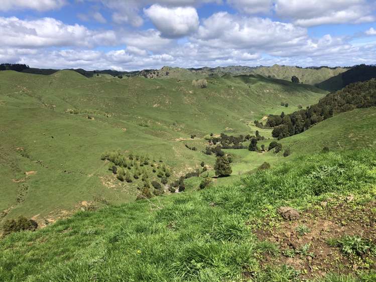 1041 Paparoa Road Whanganui National Park_20