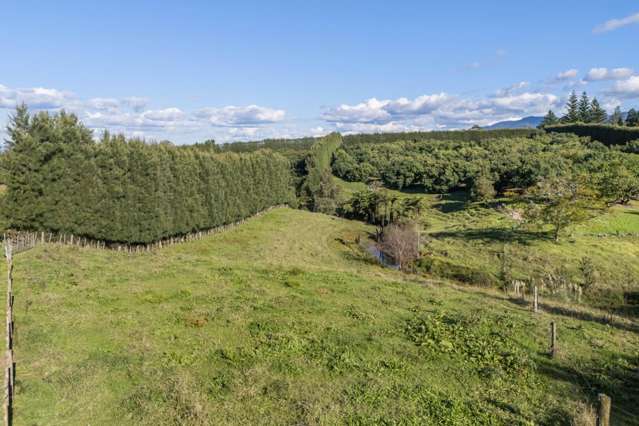 222 Wharawhara Road Katikati_1