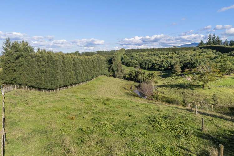 222 Wharawhara Road Katikati_1