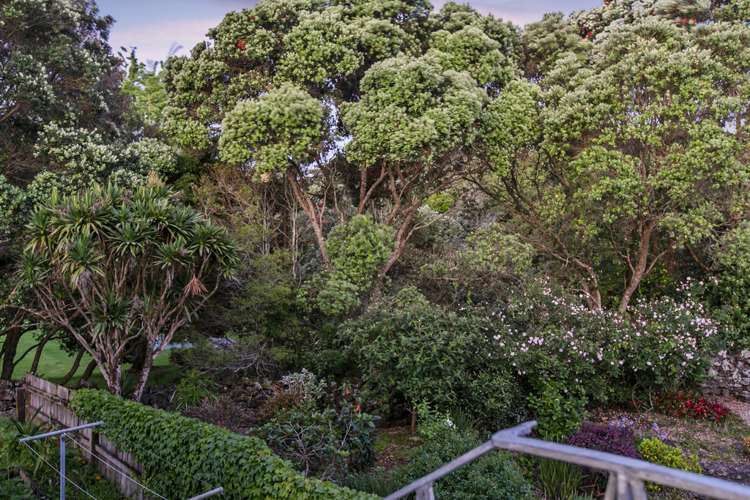 7/21a Malvern Road Morningside_9