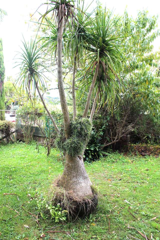 23 Woodleigh Road Naike_3