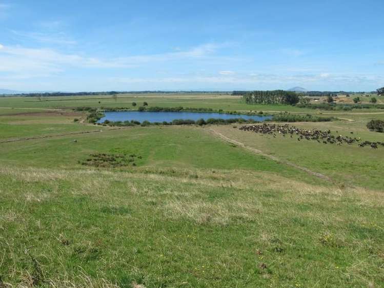 2/795 Tuhikaramea Road Ngahinapouri_11