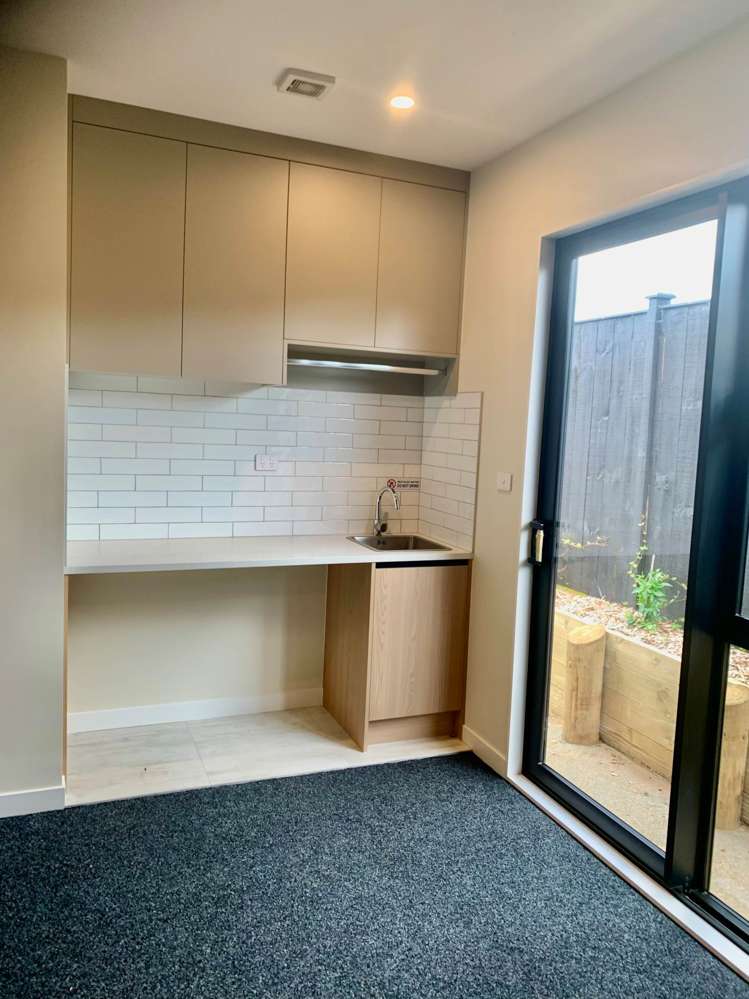 4 Te Ara Hikoi Pukekohe_9