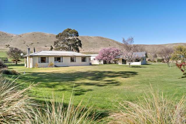 2514 Tarras-Cromwell Road Tarras_1