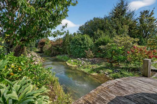 247 Chester Road Carterton_1