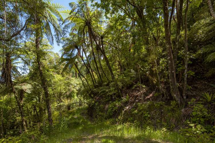 304 State Highway 1 Anakiwa and Surrounds_26