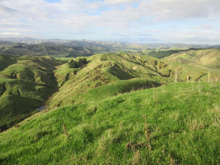297 Kaitawa Road Pahiatua_20