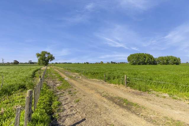 863 Tauhei Road Tauhei_3