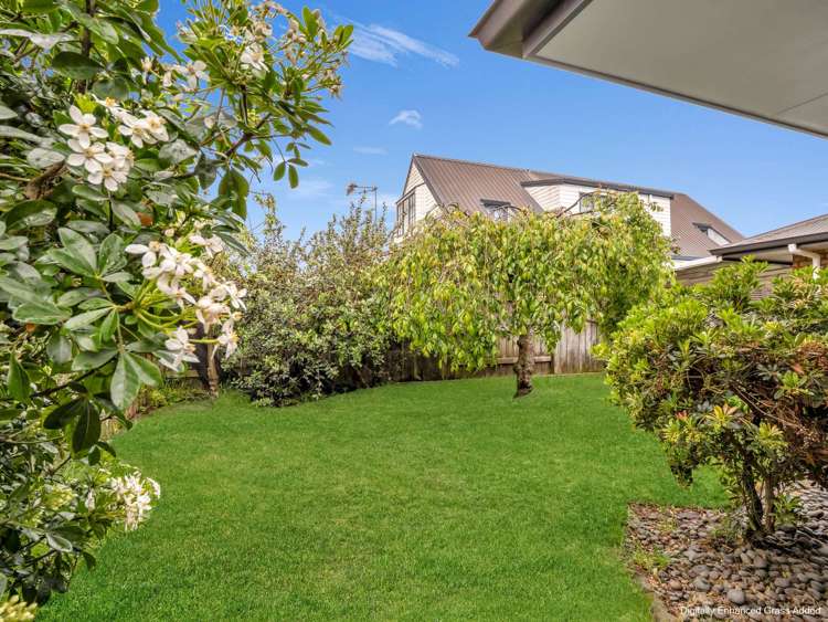 55A Henderson Street Whakatane_17