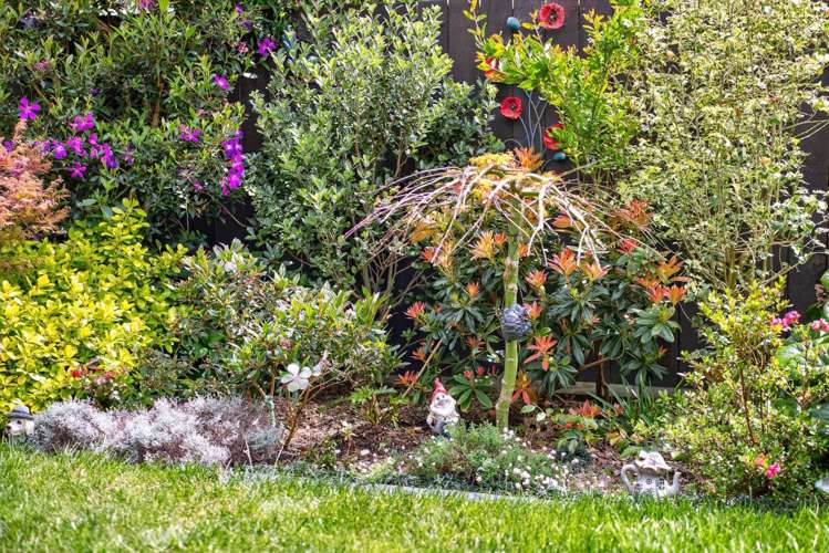 8 Sioux Road Hobsonville_6