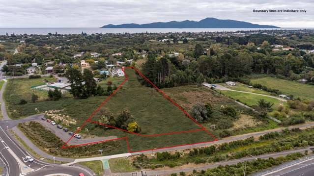 16 Leinster Avenue and 153 Poplar Avenue Raumati South_1