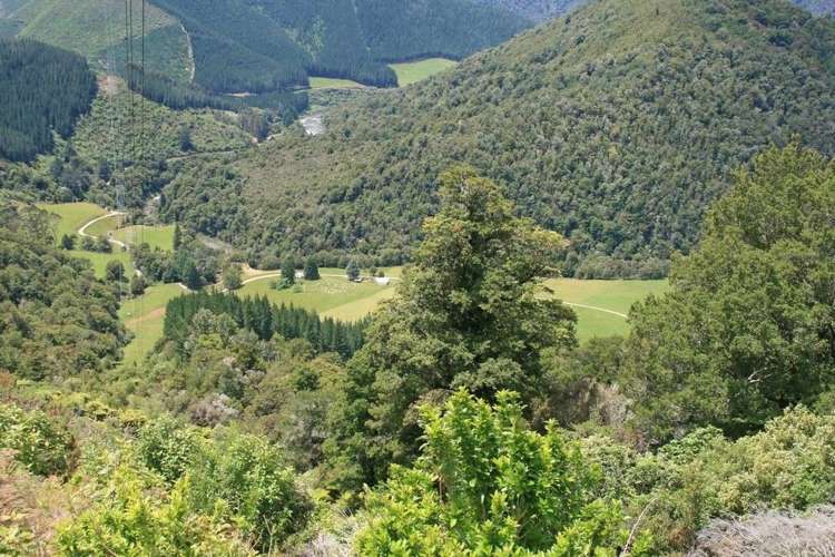 994 Maungatapu Road Rai Valley_10