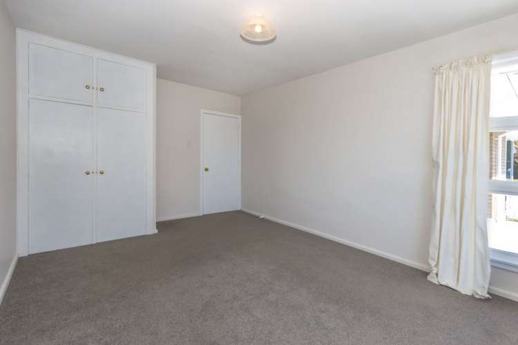 18 Eglinton Street Avondale_6