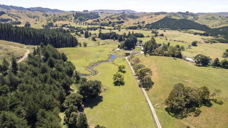 247 South Road, Mauriceville Masterton_19