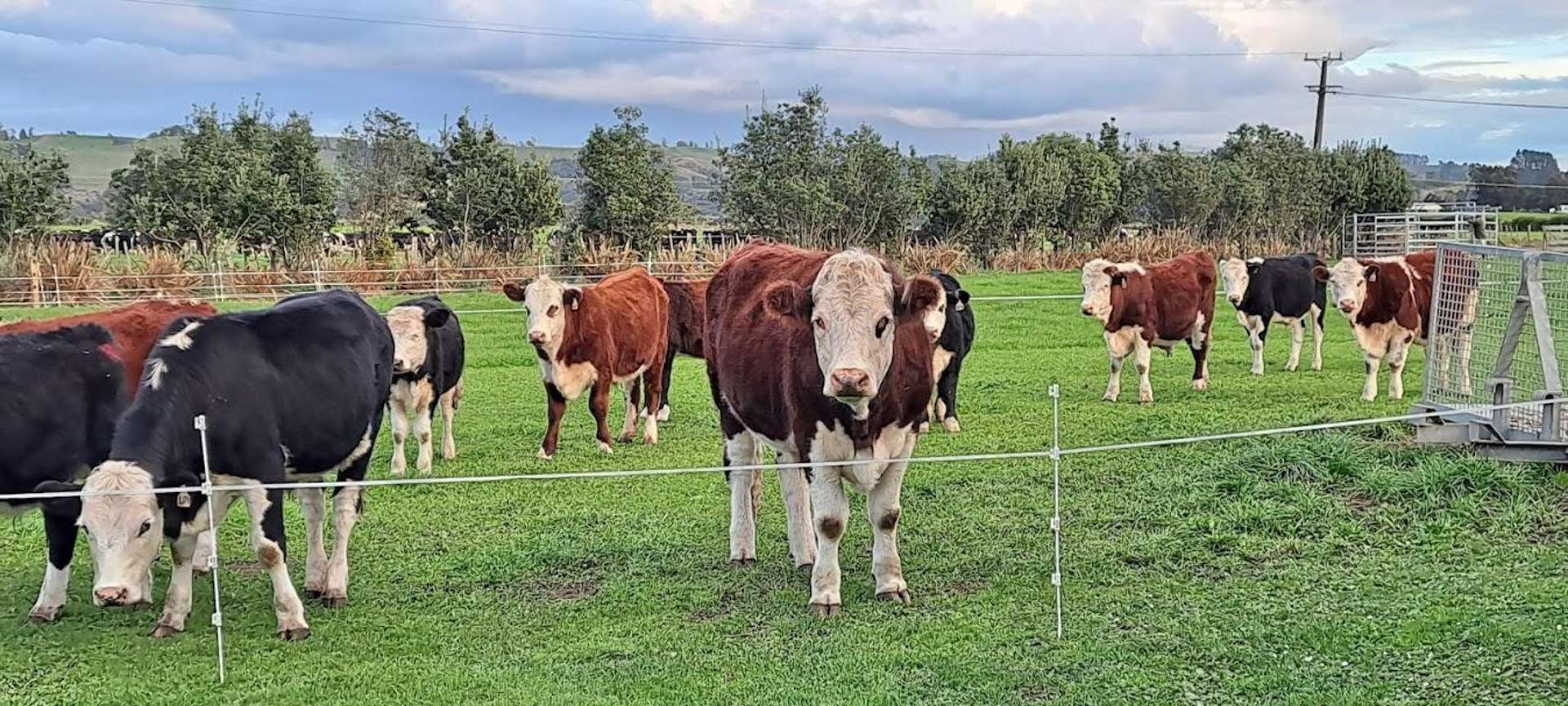 43 Carrs Road Urenui_0