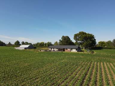 390 Marychurch Road_1