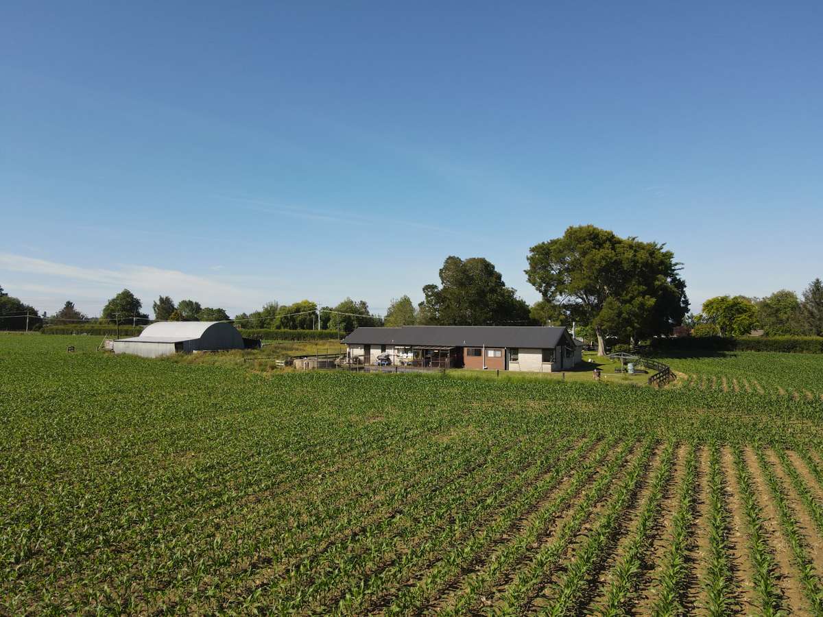 390 Marychurch Road_0