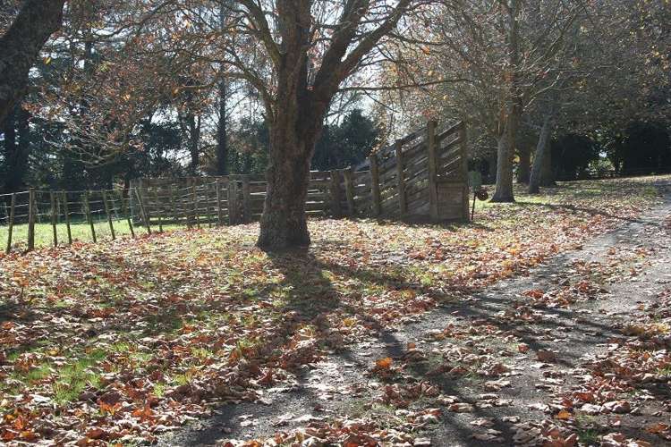 207 Mangaorongo Road Otorohanga_7