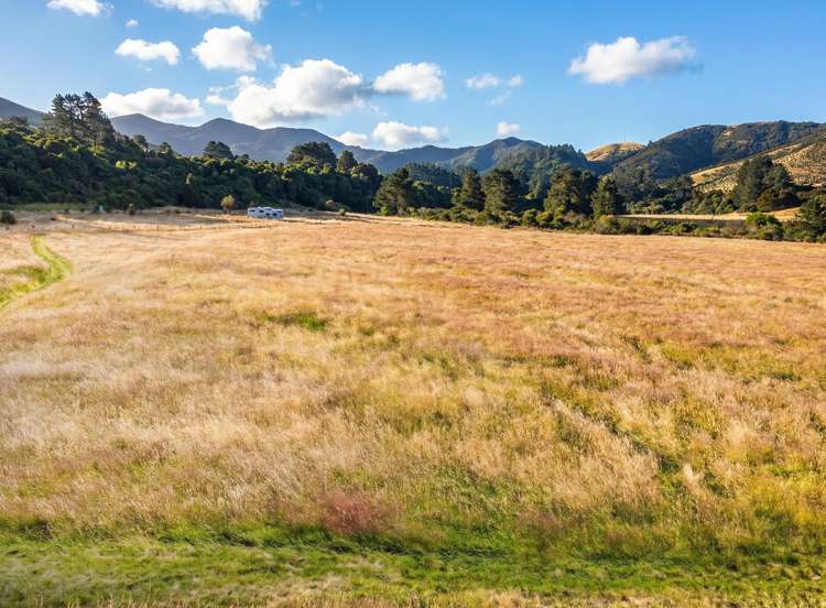 2036D State Highway 2 Masterton_3